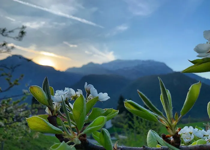 Albergo Maggio Hotel 3*